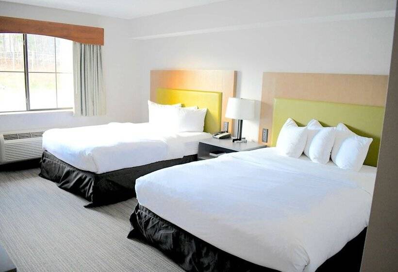带2个双人床的标准工作室, Country Inn & Suites By Radisson, Jonesboroughjohnson City West, Tn