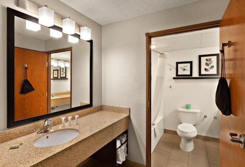 带大床的标准间, Country Inn & Suites By Radisson, Jonesboroughjohnson City West, Tn