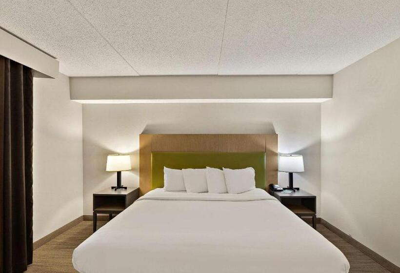 스탠다드 룸 킹사이즈 침대, Country Inn & Suites By Radisson, Jonesboroughjohnson City West, Tn