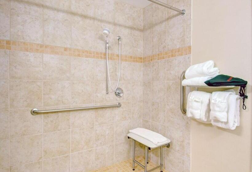 장애인을 위한 킹사이즈 침대 스탠다드 룸, Best Western  Plus Waltham Boston