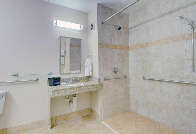 장애인을 위한 킹사이즈 침대 스탠다드 룸, Best Western  Plus Waltham Boston