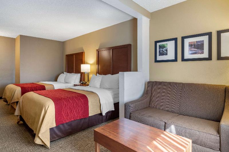 Номер Стандарт, Comfort Inn & Suites Suwanee  Sugarloaf