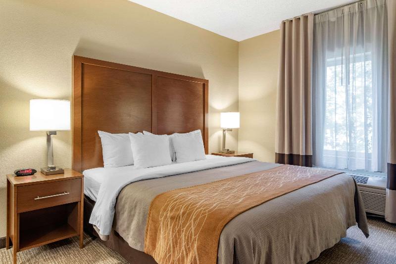 Стандартный Номер Кровать Кинг, Comfort Inn & Suites Suwanee  Sugarloaf