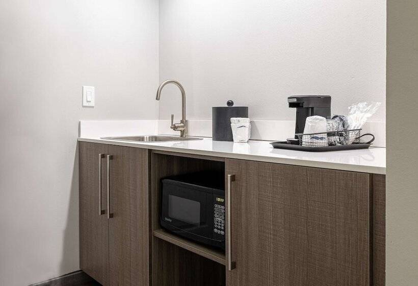 חדר סטודיו סטנדרד, Hampton Inn & Suites Knoxvilledowntown