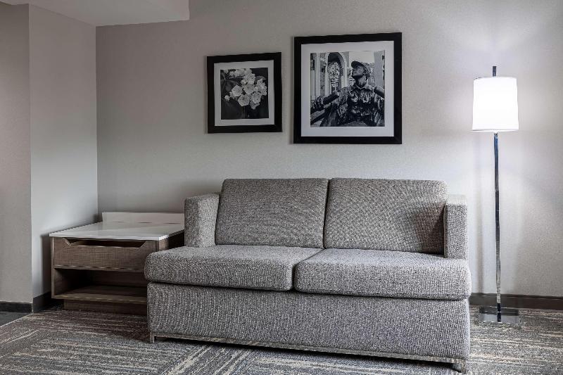 חדר סטנדרט עם מיטת קינג, Hampton Inn & Suites Knoxvilledowntown