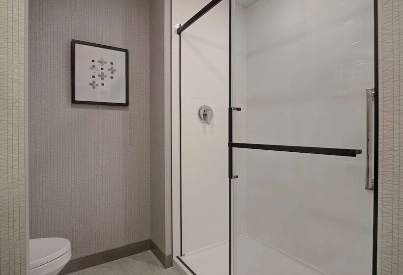Номер Базовый Двуспальная Кровать, Hampton Inn By Hilton Montreal Downtown