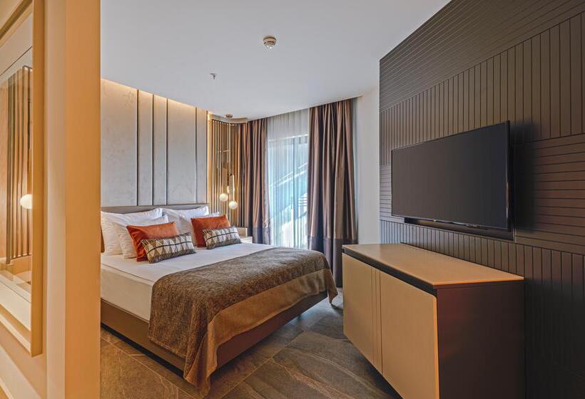 اتاق استاندارد, Calyptus Kirman Premium   Ultra All Inclusive
