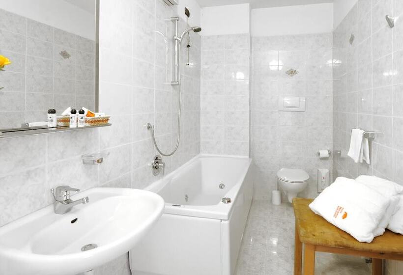 Standard-huone, Montana