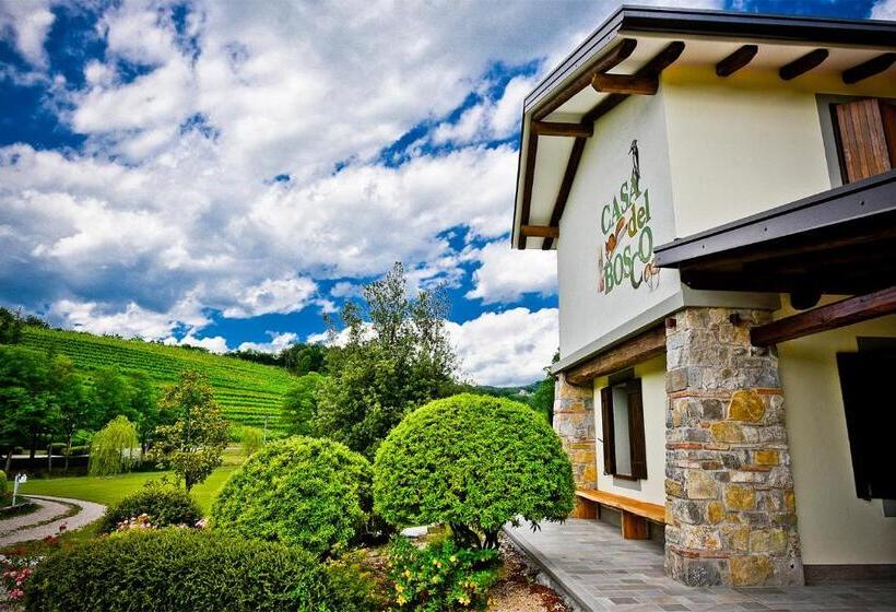 Номер Дюплекс, Venica & Venica Wine Resort