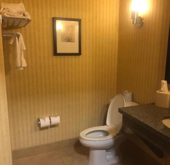 Люкс, Comfort Inn & Suites Gateway To Glacier National Park