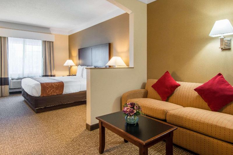 스위트 킹사이즈 침대, Comfort Suites Linn County Fairground And Expo