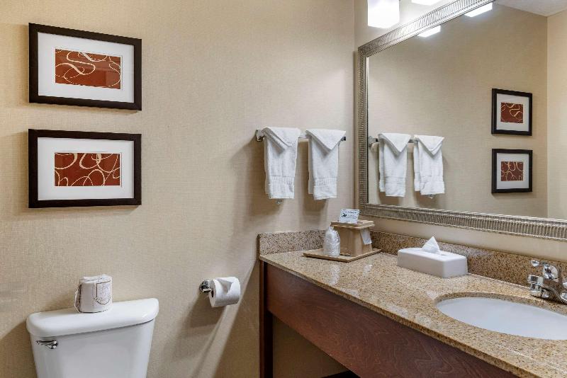 스위트 킹사이즈 침대, Comfort Suites Linn County Fairground And Expo