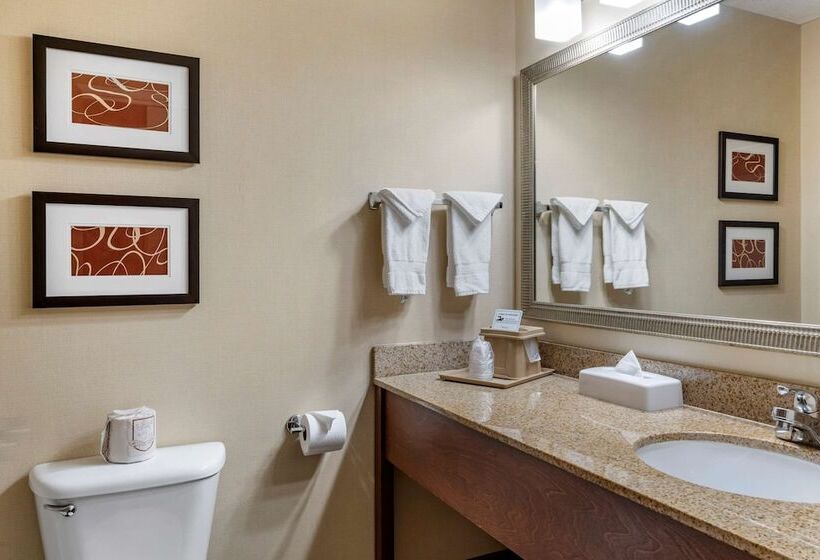 스위트, Comfort Suites Linn County Fairground And Expo
