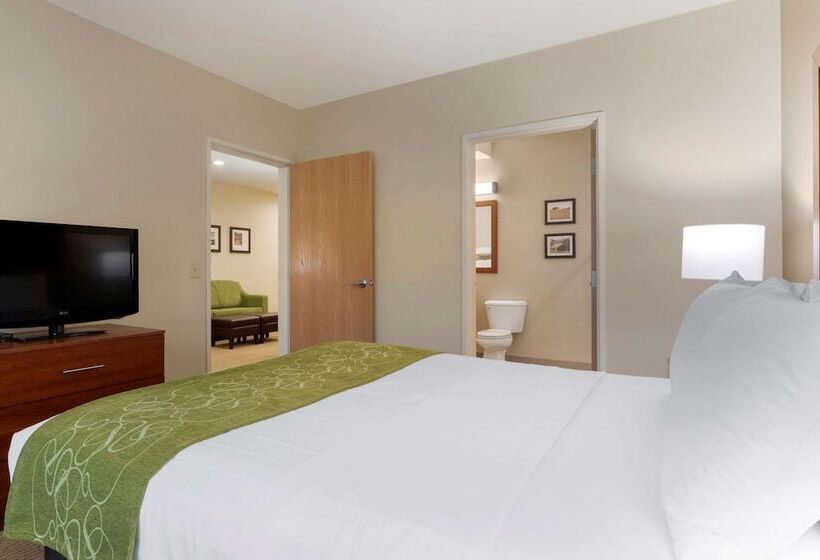 Люкс Адаптированный для Инвалидов, Comfort Suites Marysville Yuba City