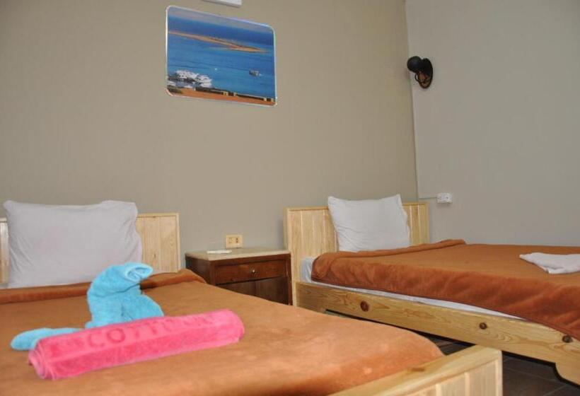 اتاق استاندارد, Dahab Plaza
