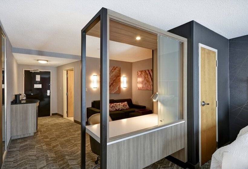 2 Szobás Suite, Springhill Suites By Marriott Indianapolis Airport/plainfield