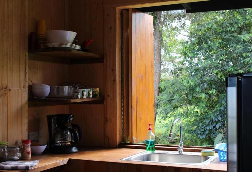Номер Deluxe, The Lodge At Reventazon River Mountain Ranch