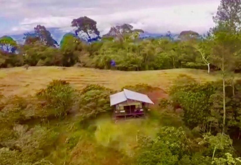 Номер Стандарт Вид на Горы, The Lodge At Reventazon River Mountain Ranch