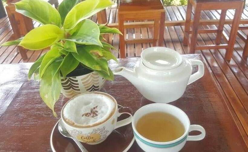 بنجلو عائلى, Imsuk Homestay Chiang Rai