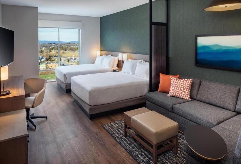 Номер Стандарт Верхний Этаж, Hyatt Place Harrisonburg