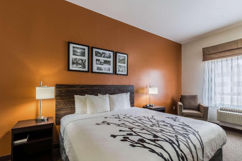 Стандартный Номер Кровать Кинг, Sleep Inn & Suites Stafford  Sugarland