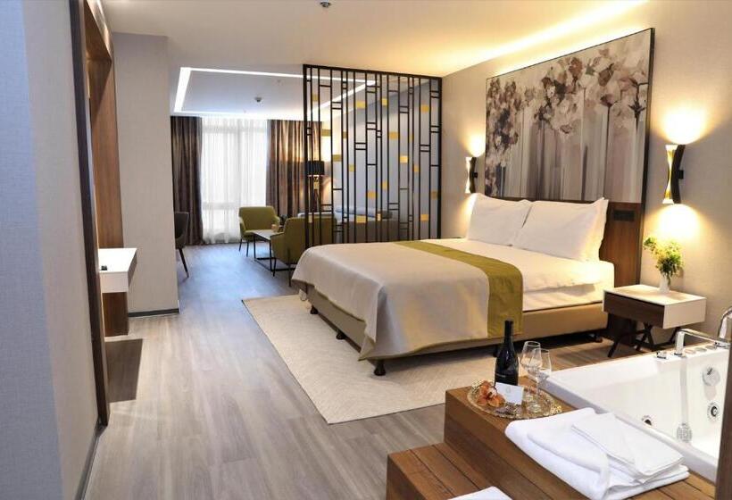 Полулюкс Повышенной Комфортности, Limak Skopje Luxury