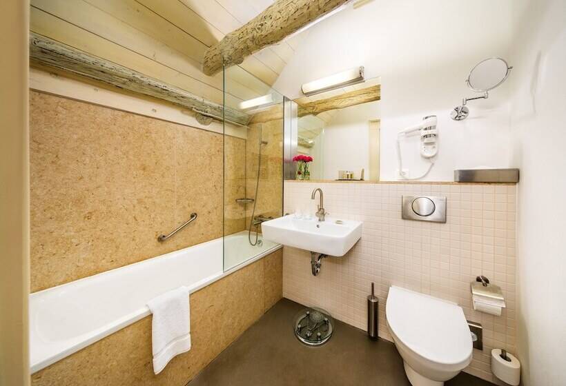 اتاق سوپریور, Bellevue Hotel Benešov