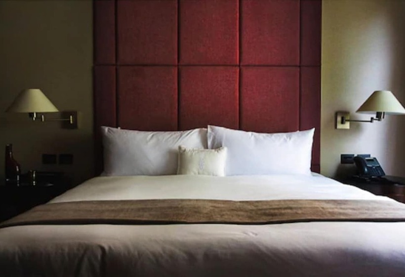 デラックスルーム, Hippodrome Hotel Condesa