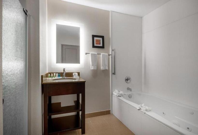 Стандартный Номер Кровать Кинг, Holiday Inn Poughkeepsie, An Ihg