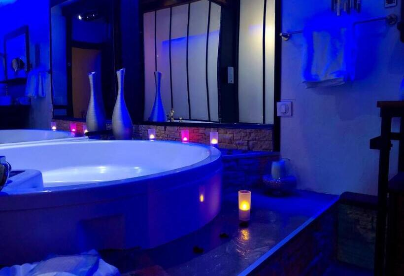Номер Superior со СПА доступом, Logis Hotel Oasis