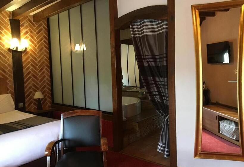 Номер Superior со СПА доступом, Logis Hotel Oasis