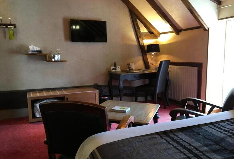 Номер Superior со СПА доступом, Logis Hotel Oasis