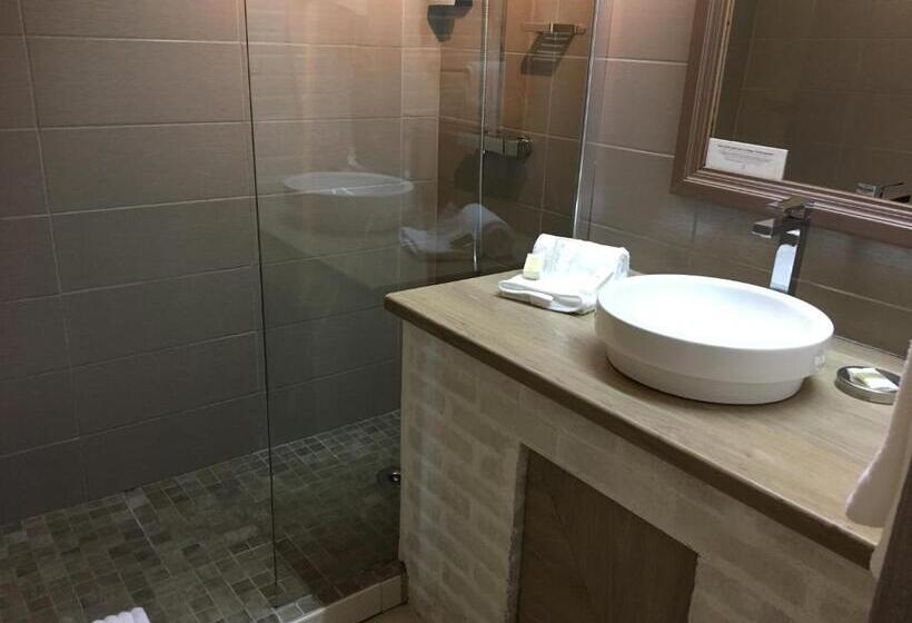 Номер Стандарт, Logis Hotel Oasis