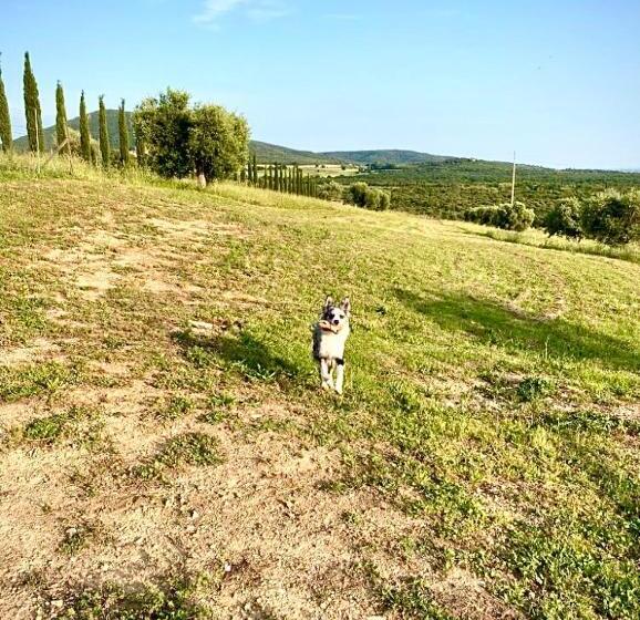 سوییت لوکس, Agriturismo Suite Del Conte