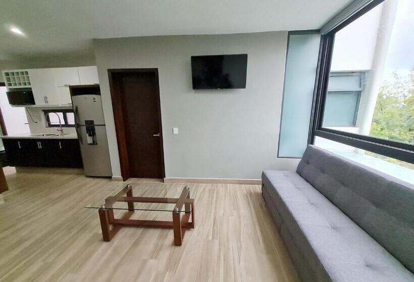 Deluxe Appartement met 1 Slaapkamer, Casa Arandas Hotel   Suits