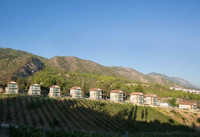 带海景的标准房, Gillham Vineyard