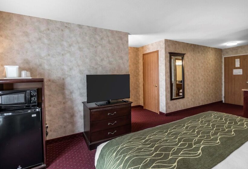 סוויטה, Comfort Inn & Suites