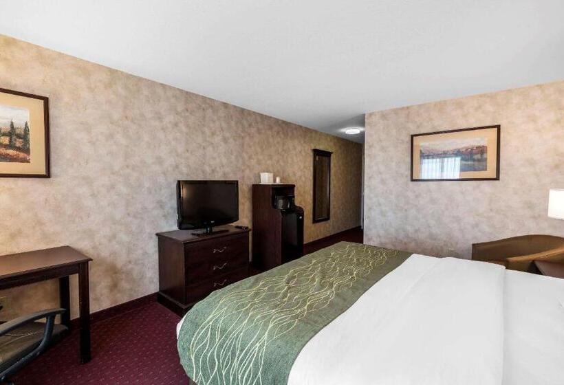 חדר סטנדרט, Comfort Inn & Suites