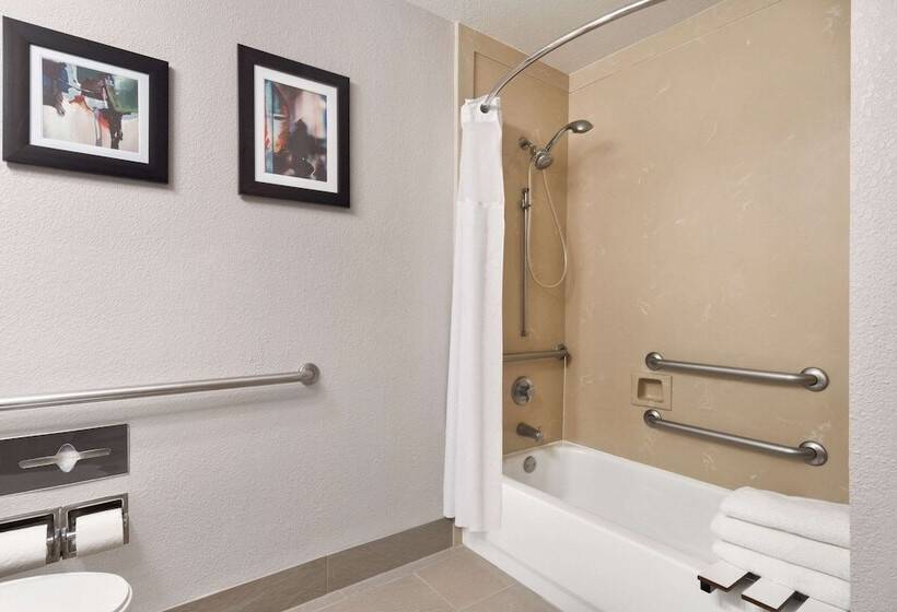 Люкс Адаптированный для Инвалидов, Comfort Suites Shenandoahthe Woodlands