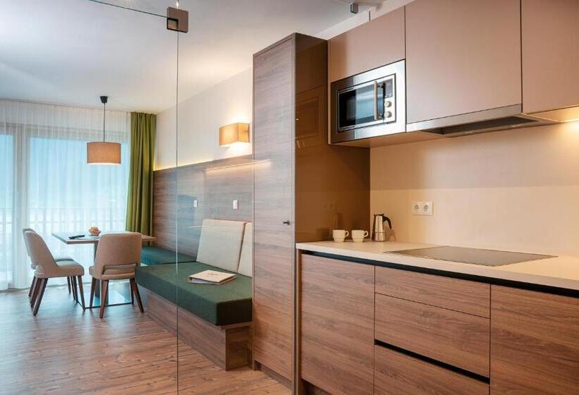 带1个卧室带观景的公寓, Residence Lex