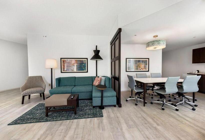 带大床的套房, Hyatt Place West Palm Beach