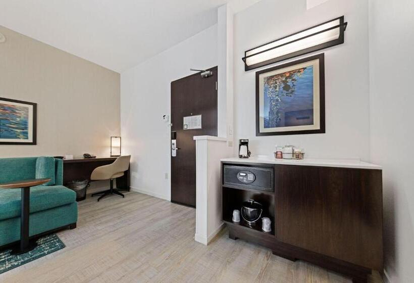 带大床的标准间, Hyatt Place West Palm Beach