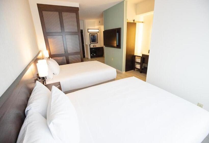 高级寓所标准房间, Hyatt Place West Palm Beach