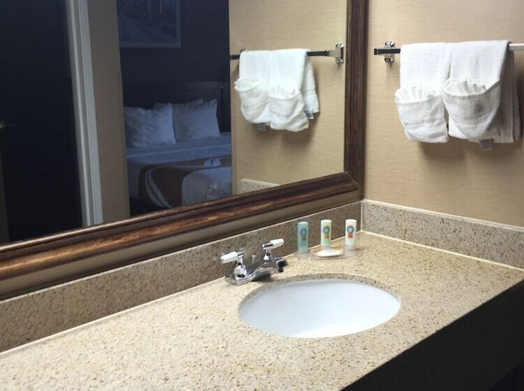 ２ダブルベッドのスタンダードルーム, Quality Inn Elgin I90