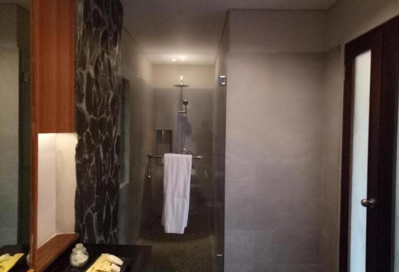 Президентский Люкс, Anahata Villas And Spa Resort
