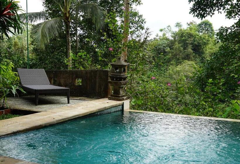 Президентский Люкс, Anahata Villas And Spa Resort