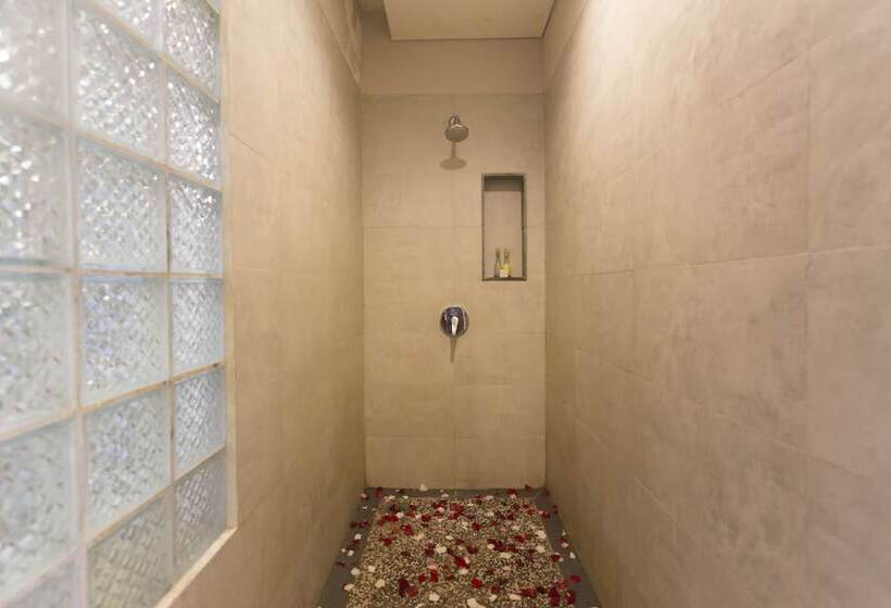 Президентский Люкс, Anahata Villas And Spa Resort