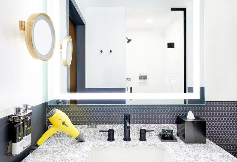 اتاق استاندارد با تخت بزرگ, Hyatt Centric Downtown Denver
