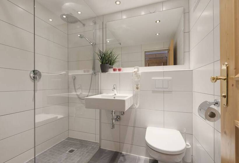 Номер Стандарт, Gabl By Alpeffect Hotels