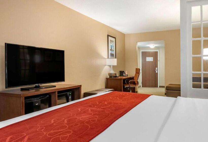 带大床的套房, Comfort Suites Orlando Airport
